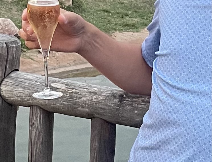 Profil de Rani, 48 ans, Baise gay à Coire
