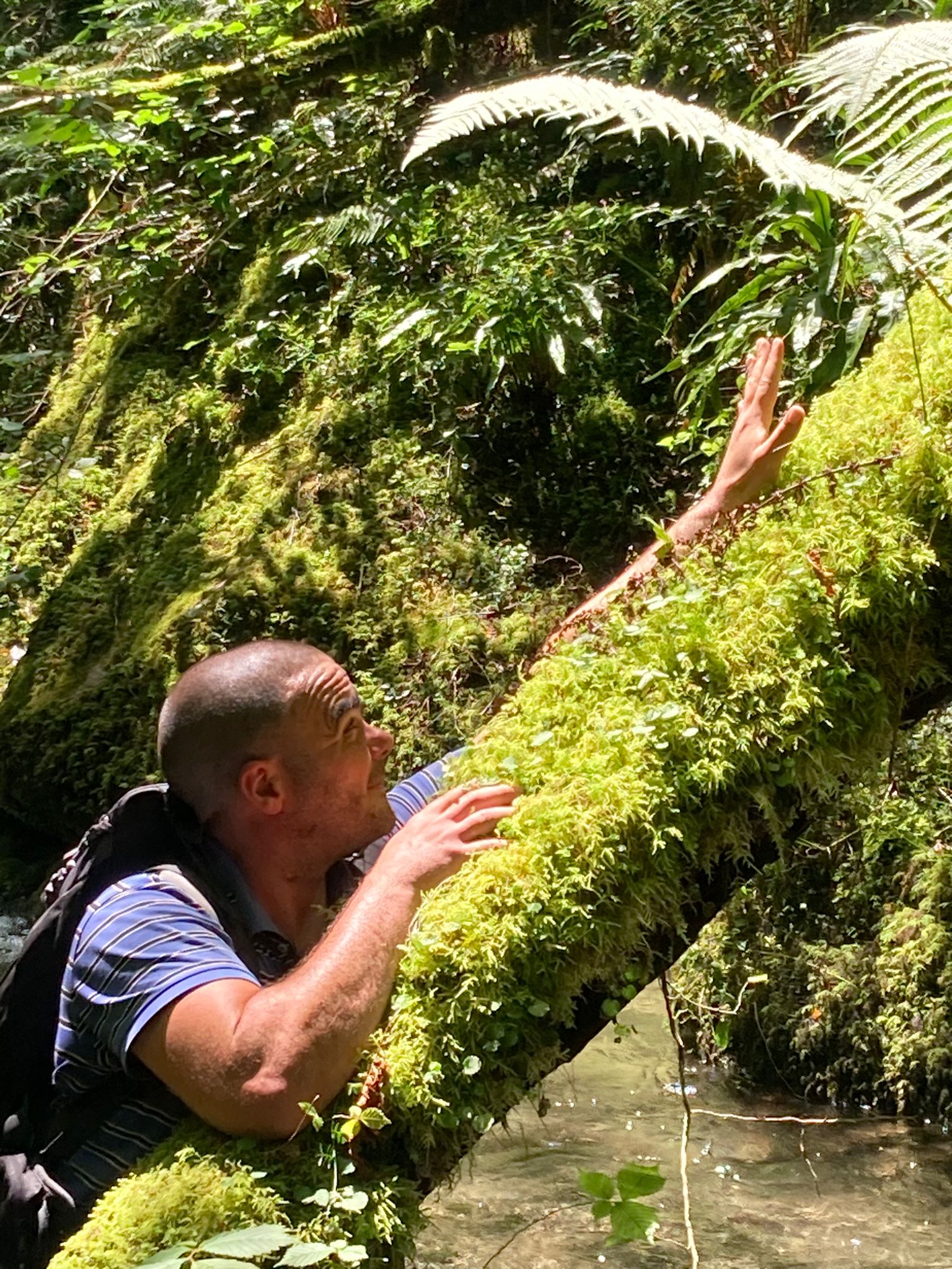 Profil de Sultane, 41 ans, Baise gay à Metzerlen